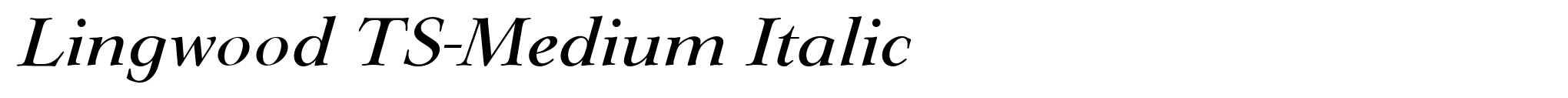 Lingwood TS-Medium Italic image